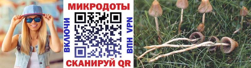 OMG рабочий сайт  где продают наркотики  Кировград  Псилоцибиновые грибы прущие грибы 